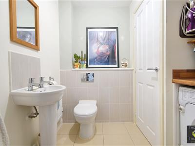 Picture 8